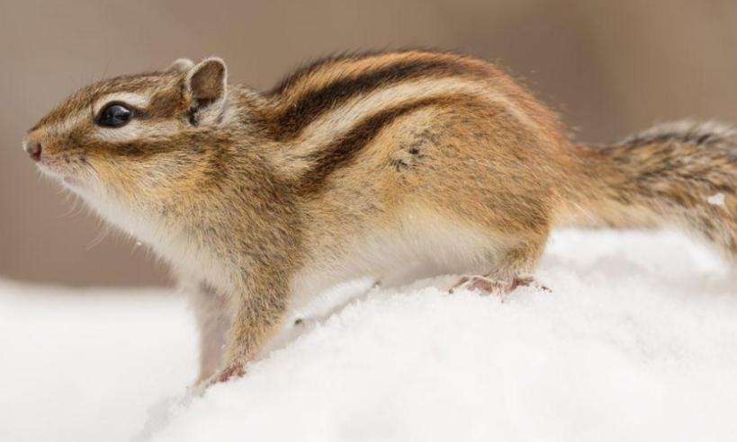 丽栢家具广场 - 首页轮播图3