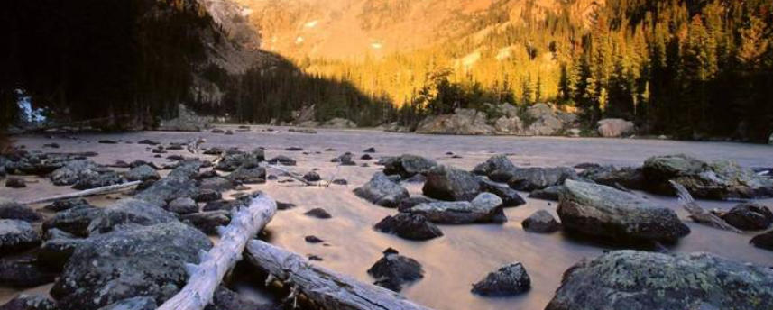 丽栢家具广场 - 首页轮播图1